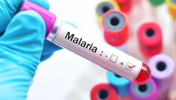 Another 15 malaria patients came forward