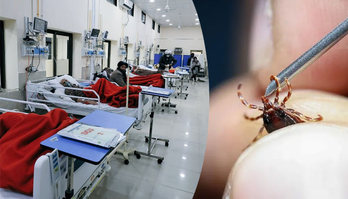 Another case of Congo virus reported at Fatima Jinnah Hospital