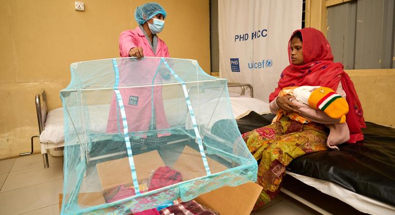 Bangladesh, Maldives, DPR Korea make ‘tremendous’ strides toward disease elimination