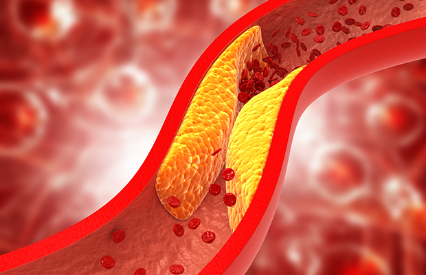 Cholesterol is not that dangerous for health