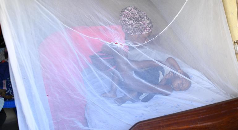 Climate change risks upending global fight against malaria