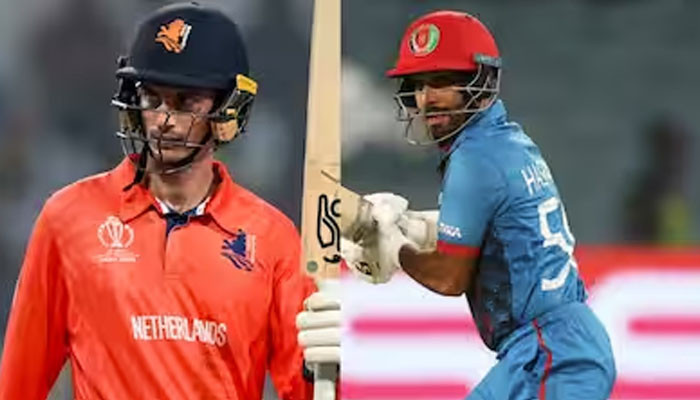 Cricket World Cup, Netherlands will face Afghanistan today