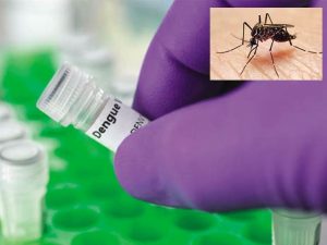 Dengue fever symptoms and treatment | Press Network of Pakistan