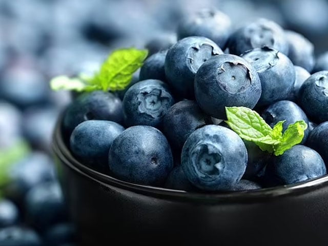 Diabetics prefer blueberries among fruits