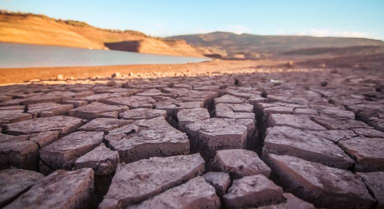 Explainer: What's COP28 and why is it important?