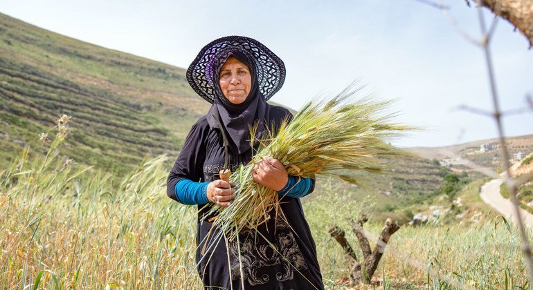 FAO report reveals hidden costs of agrifood systems