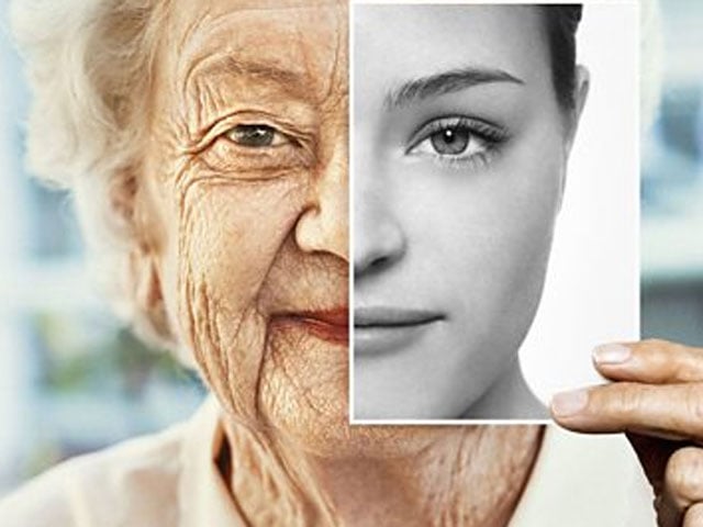 Identify eight steps to prevent aging