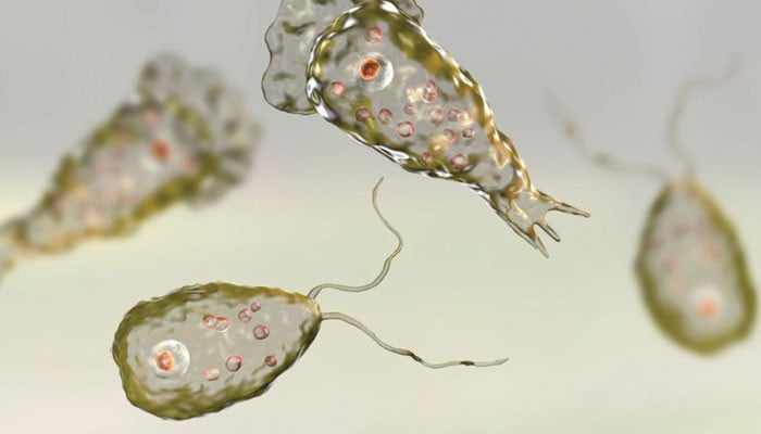 One more person died of Naegleria in Karachi, taking the toll to 12