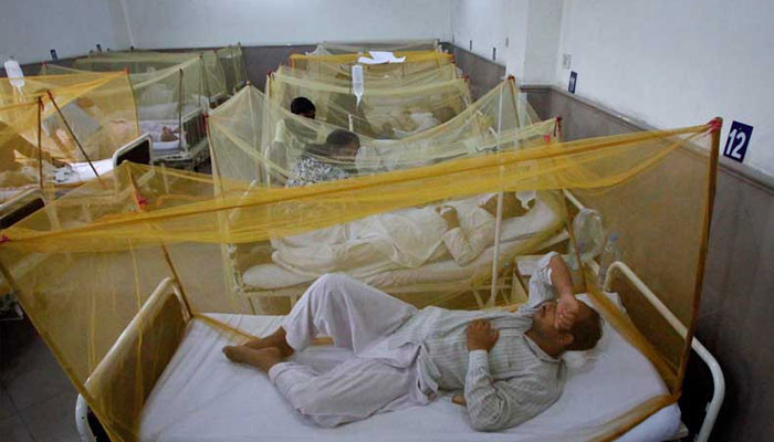 Punjab, hundreds of new cases of dengue have been reported in 24 hours