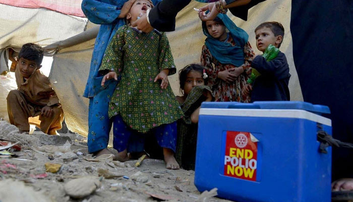 Report of polio positive sewage samples prepared