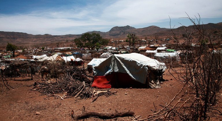 Sudan: Women and girls abducted, held ‘in slave-like conditions’ in Darfur