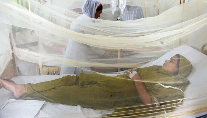Another 50 new dengue patients have been reported ---File photo