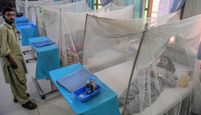 124 new cases of dengue reported ---File photo