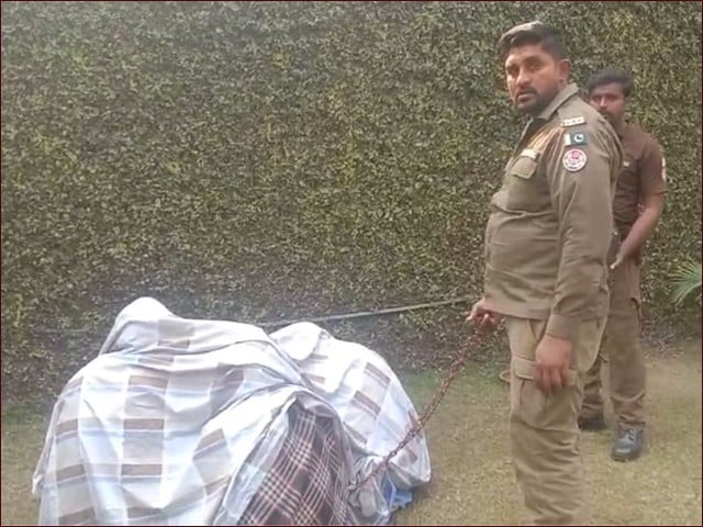 Another kidney removal group was caught in Lahore, 90 people were operated Photo of the arrested suspects, whose identity the police have not revealed at this time (Photo: Video Screen Grab)