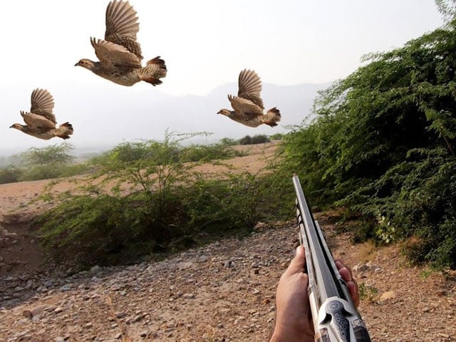 Action against illegal hunters of pheasant and pheasant in Punjab