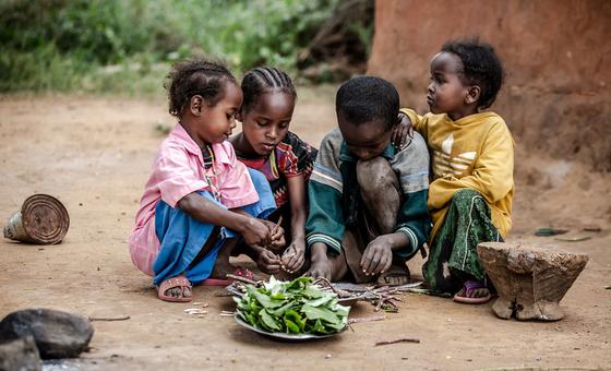 UN launches  billion appeal to respond to worsening crises in 2024
