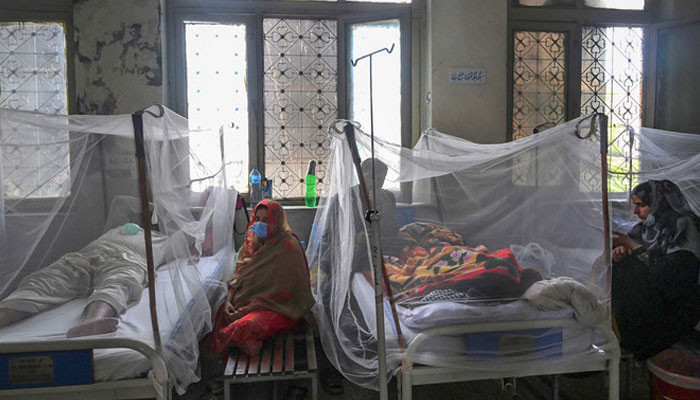 77 new dengue patients confirmed