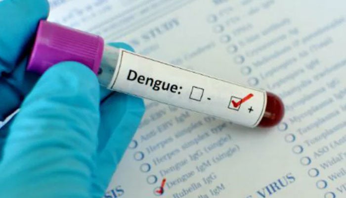 Another 72 people suffer from dengue