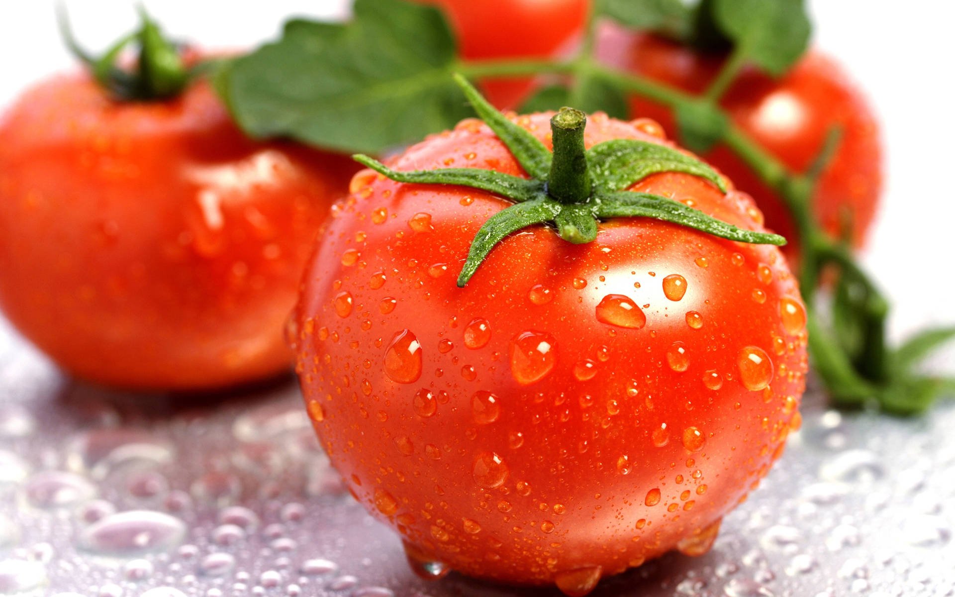 Benefits and risks associated with tomatoes