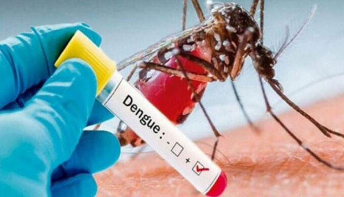 Confirmation of dengue in 87 new patients