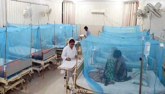 Dengue confirmed in 11 more persons