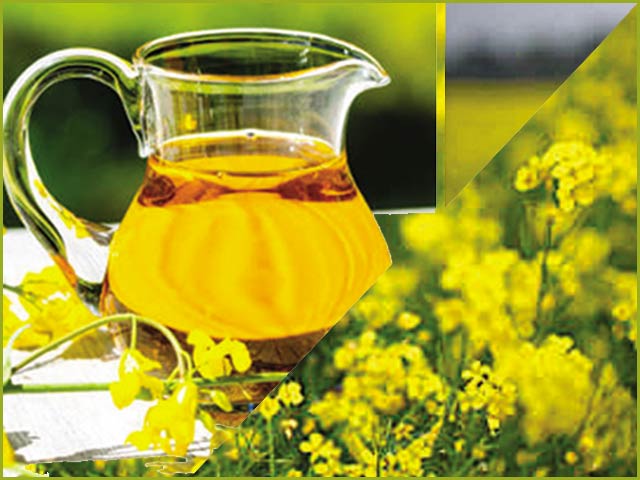 Evergreen and health benefits of mustard