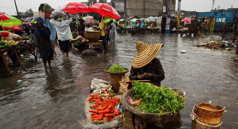 Global agrifood systems are the climate solution, new FAO report highlights 