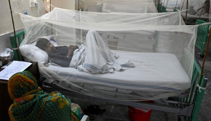 In Punjab, dengue cases started to decrease