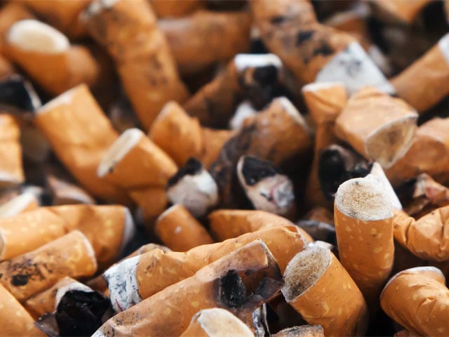 Pollution caused by cigarettes is said to be the cause of billions of dollars in losses