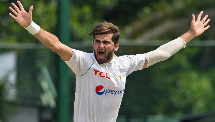 Shaheen Afridi appointed vice-captain of Test team