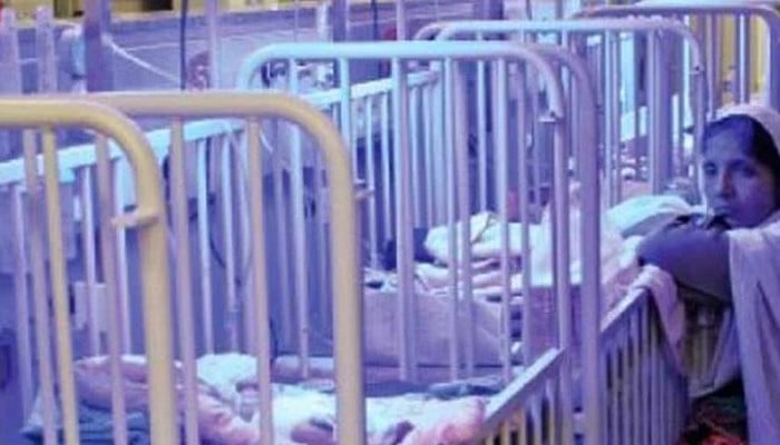 12 more children died of pneumonia within 24 hours