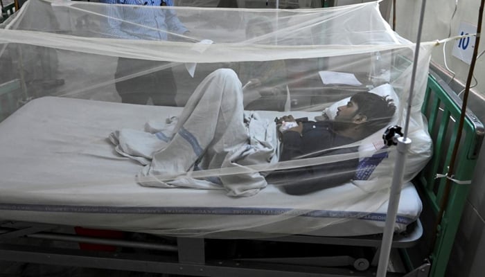 Another dengue patient reported, taking the number to 8 File photo