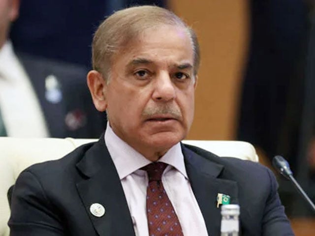 Our popularity has waned in the war to save Pakistan from bankruptcy, Shahbaz Sharif