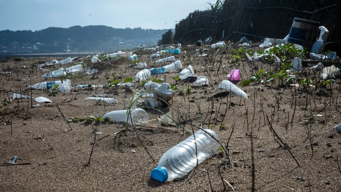 Plastic particles in water bottles can even enter cells