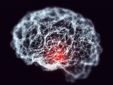 Important discovery on memory loss due to cancer