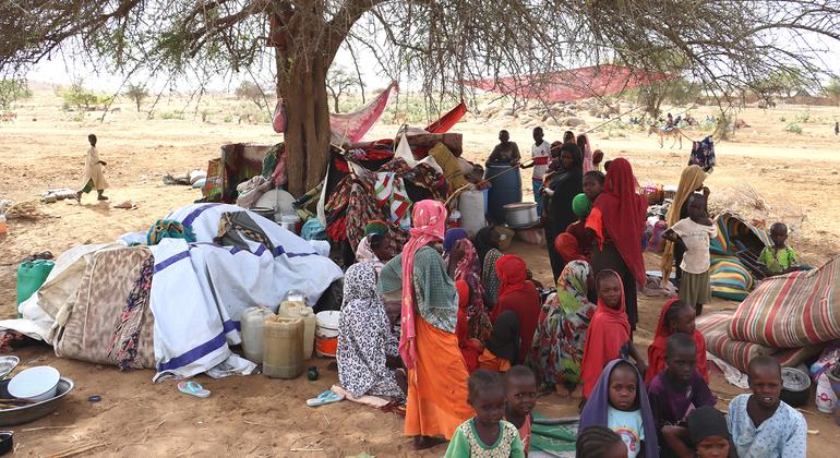 11 months into Sudan war, ‘world's worst hunger crisis’ looms