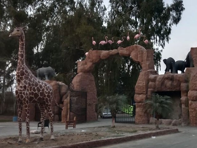 Lahore; After the upgradation, the Wildlife Safari Park was opened to the public Photo: Express