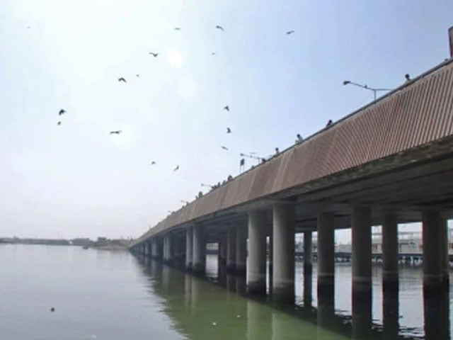 Tired of the disease, the young man committed suicide by jumping from the neti jetty