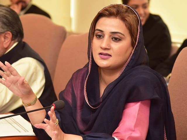 Apologize to Maryam Nawaz for accusing Sher Afzal of conspiracy to murder, Punjab Information Minister