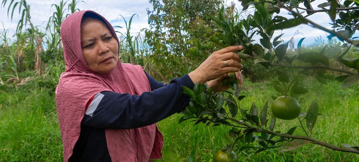 Ms. Ernawati, a former volunteer fire fighter who heads a local farmers’ groupin Teluk Meranti, Riau