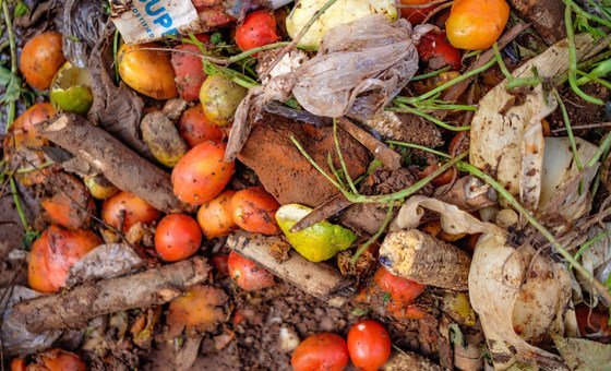 With 783 million people going hungry, a fifth of all food goes to waste