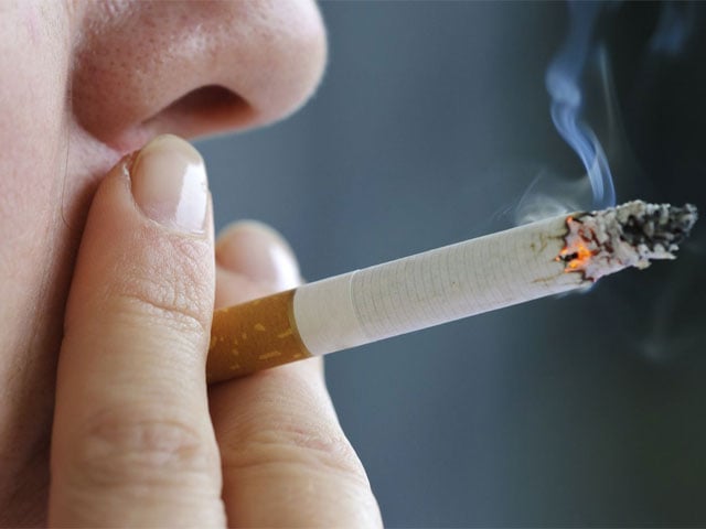 A link between smoking and belly fat revealed