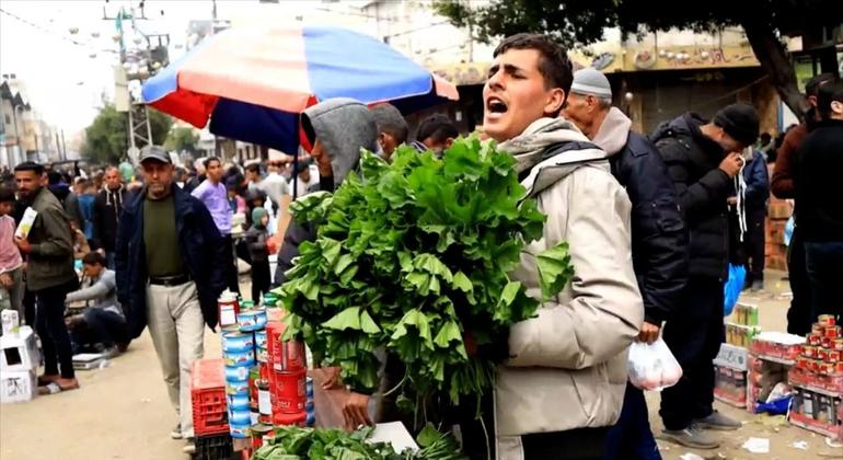 Gazans eating wild plants to survive