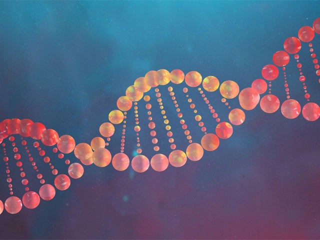 Identification of a stress-regulatory region in DNA