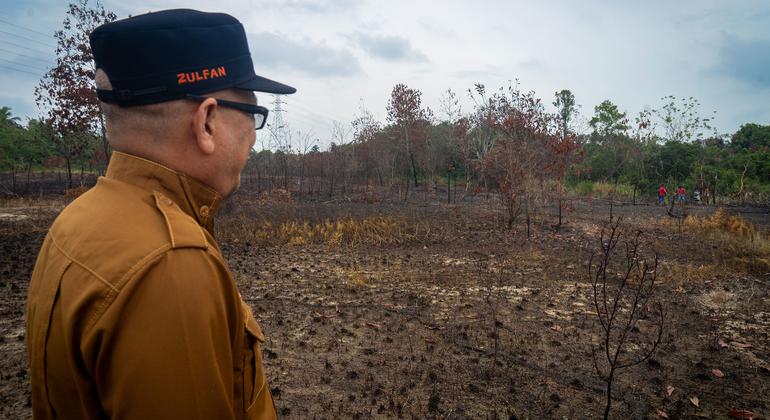 Indonesia leads the way in taming forest fires