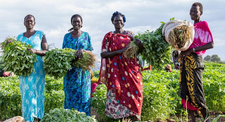 New $1.4 billion plan to support South Sudanese refugees