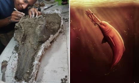 Oldest Dolphin Remains Discovered in Amazon