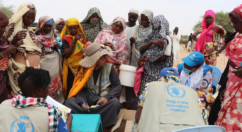 World News in Brief: WFP boosts aid in Chad amid Sudan crisis, Ukraine education boost, counter-terrorism, the right to privacy