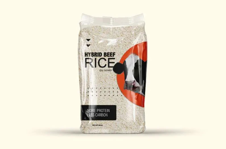 Beef rice 