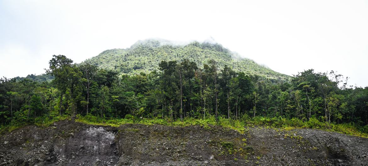 Could the answer to 100% renewable energy in Dominica be under the ground? Could the answer to 100% renewable energy in Dominica be under the ground?